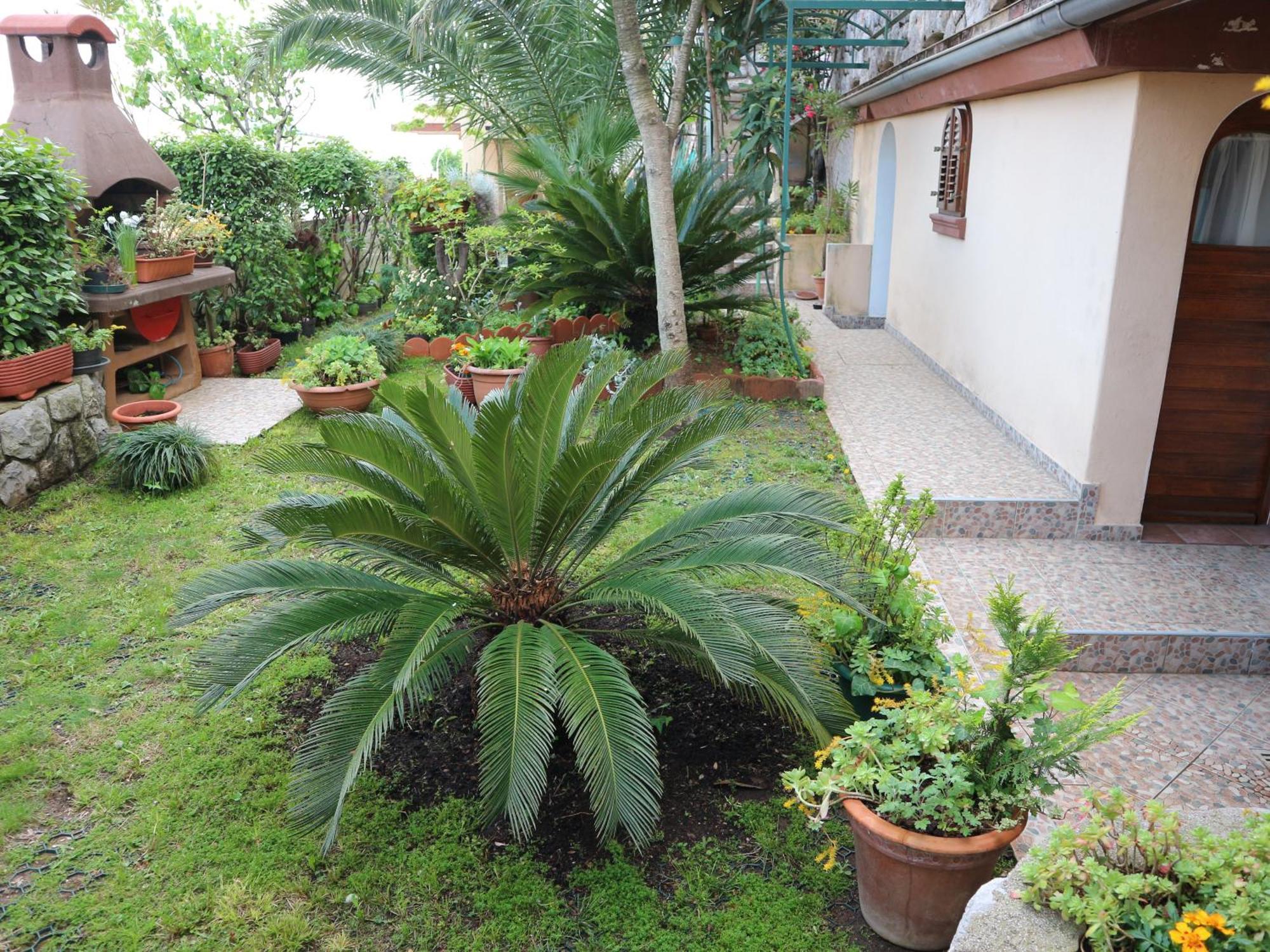 Apartments Komel Οπατία Εξωτερικό φωτογραφία
